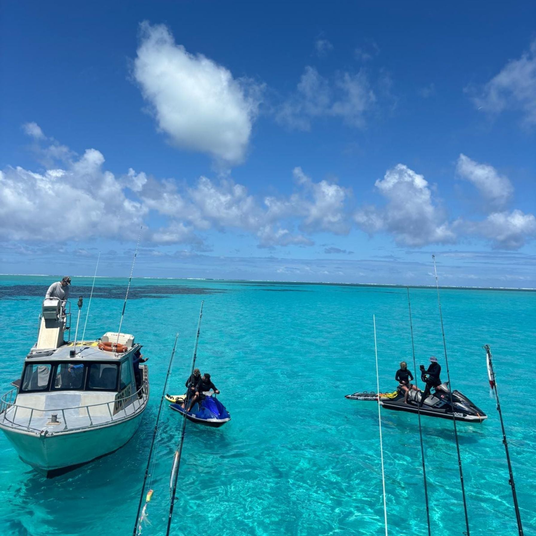 Shark Dive Adventure with the Shark Eyes Crew
