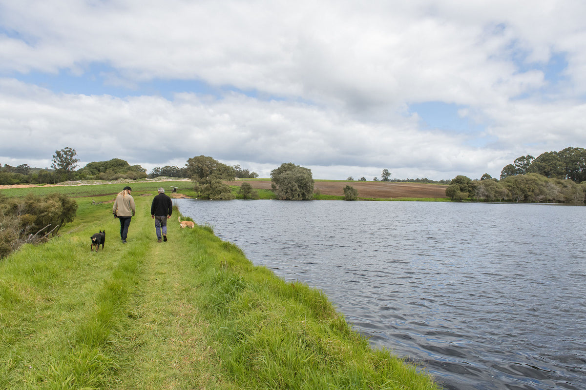 Walking the lake edge at Lake Janis Farm with the farm dogs