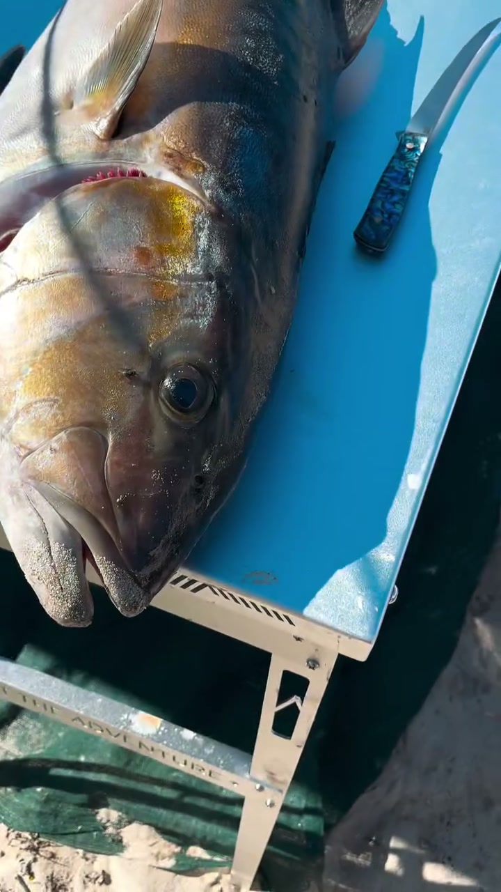 An Iron Gate knife beside a freshly caught samson fish